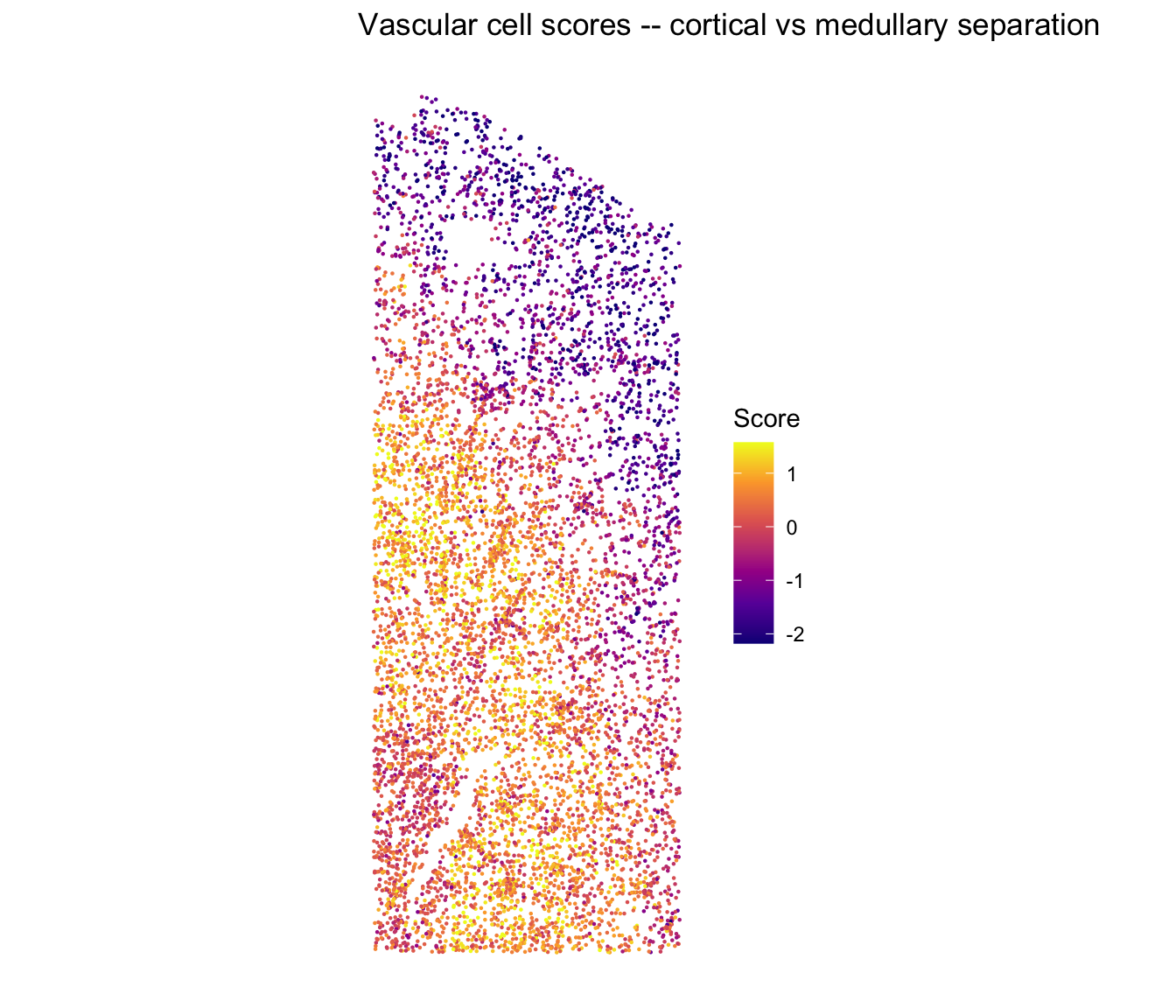 plot of chunk insitu-vasc