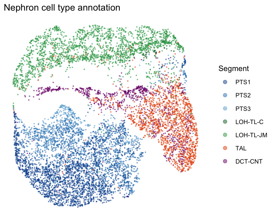 plot of chunk neph-umap-celltype