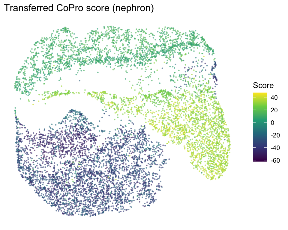 plot of chunk neph-umap-score