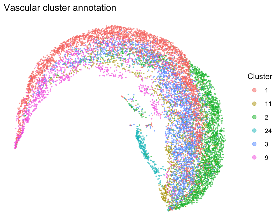 plot of chunk vasc-umap-cluster